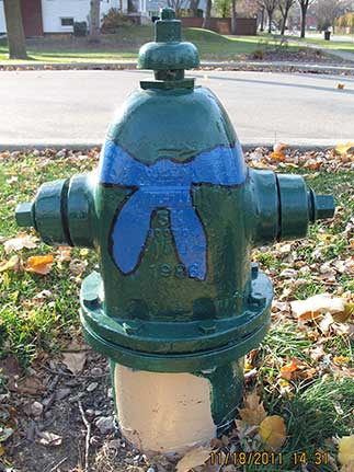 Ninja Turtle - Washington and Illinois (2)